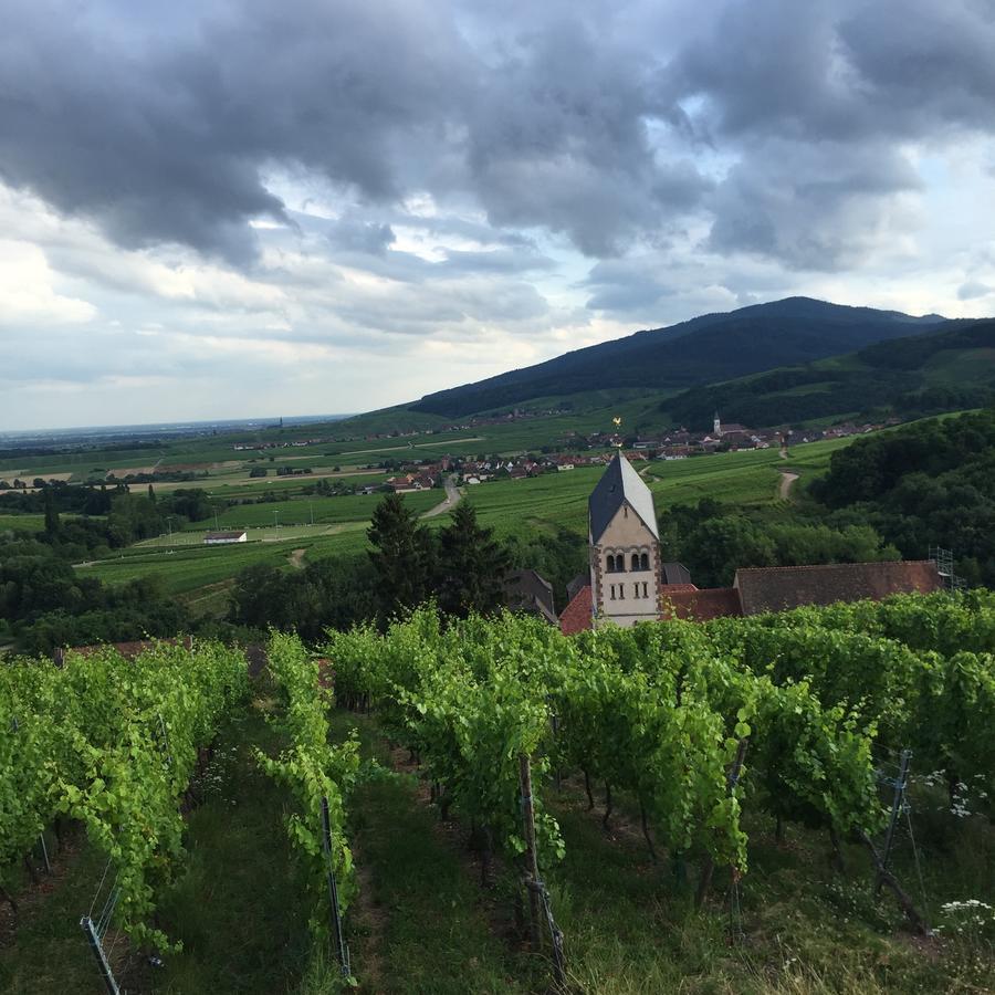 Gite Fleur De Vignes Itterswiller Εξωτερικό φωτογραφία