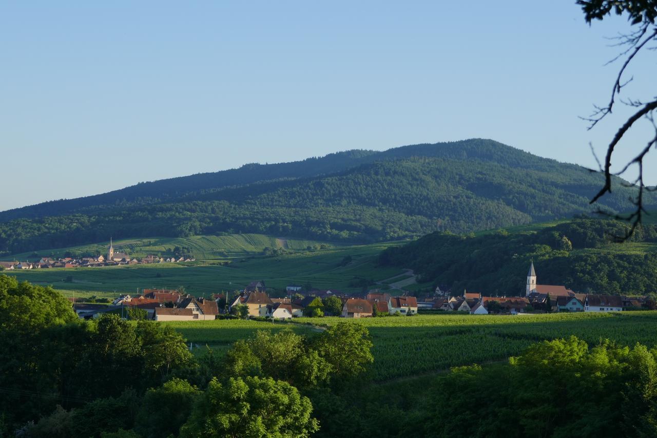 Gite Fleur De Vignes Itterswiller Εξωτερικό φωτογραφία